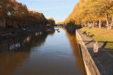 44094745_547169002387561_273465073157013504_n (2).jpg